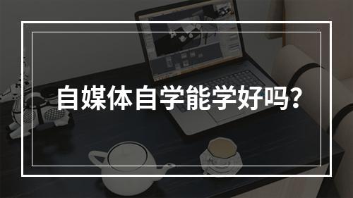 自媒体自学能学好吗？