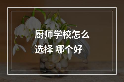 厨师学校怎么选择 哪个好