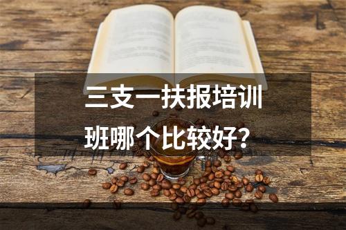 三支一扶报培训班哪个比较好？