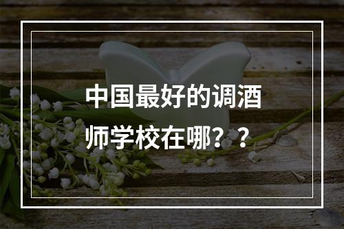 中国最好的调酒师学校在哪？？