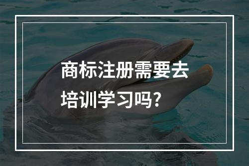 商标注册需要去培训学习吗?