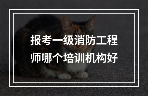 报考一级消防工程师哪个培训机构好