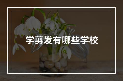 学剪发有哪些学校