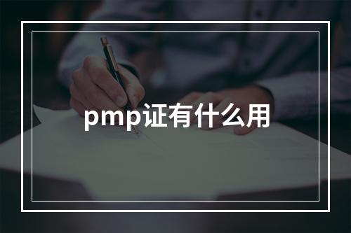 pmp证有什么用