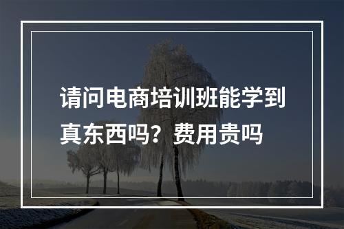 请问电商培训班能学到真东西吗？费用贵吗