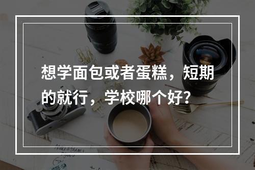 想学面包或者蛋糕，短期的就行，学校哪个好？