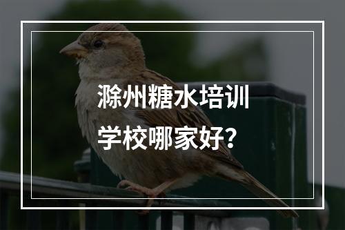 滁州糖水培训学校哪家好？