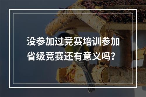 没参加过竞赛培训参加省级竞赛还有意义吗？