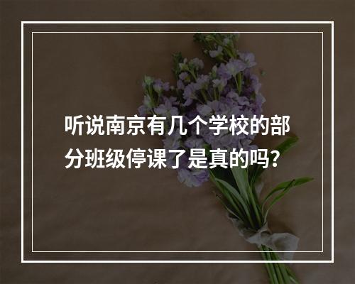 听说南京有几个学校的部分班级停课了是真的吗？