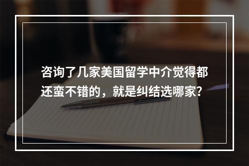 咨询了几家美国留学中介觉得都还蛮不错的，就是纠结选哪家？