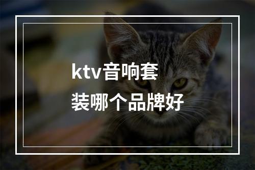 ktv音响套装哪个品牌好