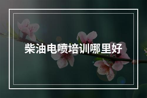 柴油电喷培训哪里好