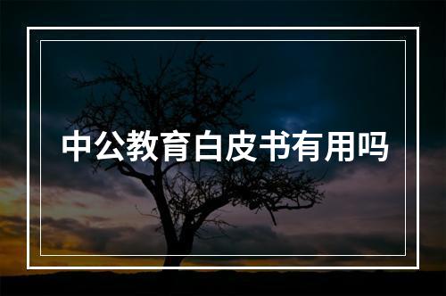 中公教育白皮书有用吗