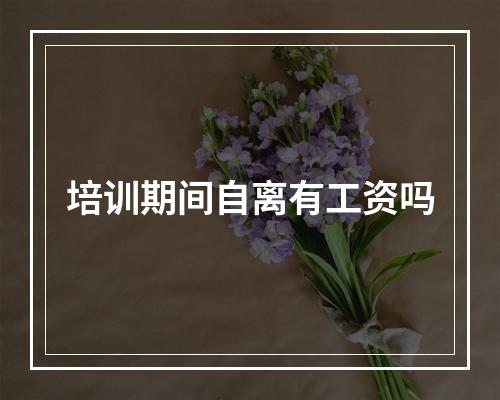 培训期间自离有工资吗