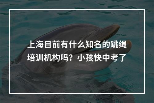 上海目前有什么知名的跳绳培训机构吗？小孩快中考了