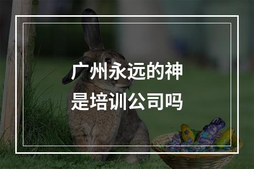 广州永远的神是培训公司吗