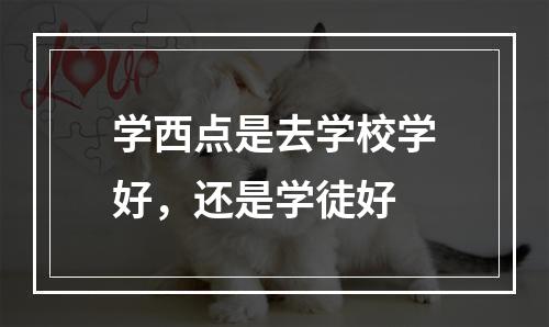 学西点是去学校学好，还是学徒好