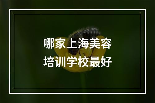 哪家上海美容培训学校最好