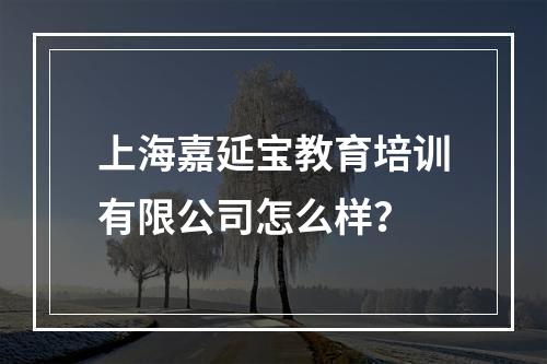 上海嘉延宝教育培训有限公司怎么样？