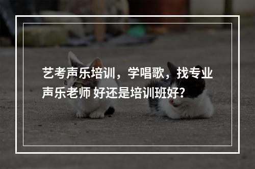 艺考声乐培训，学唱歌，找专业声乐老师 好还是培训班好？