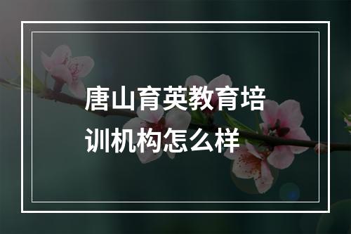 唐山育英教育培训机构怎么样