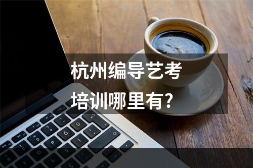 杭州编导艺考培训哪里有?