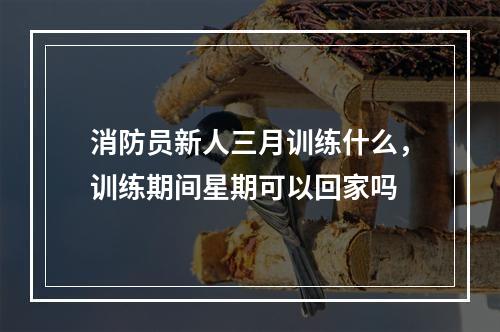 消防员新人三月训练什么，训练期间星期可以回家吗