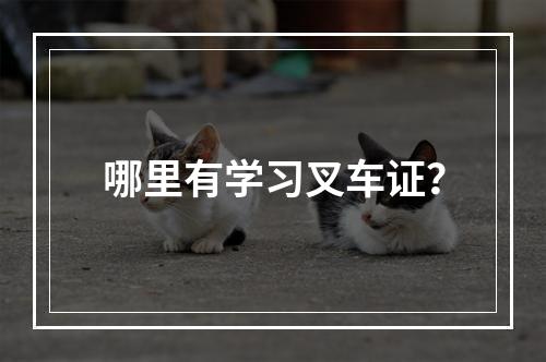 哪里有学习叉车证？