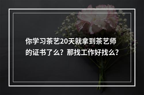 你学习茶艺20天就拿到茶艺师的证书了么？那找工作好找么？