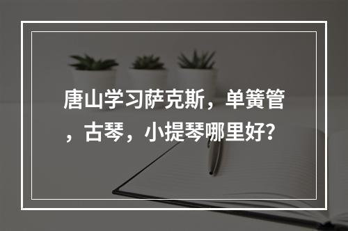 唐山学习萨克斯，单簧管，古琴，小提琴哪里好？