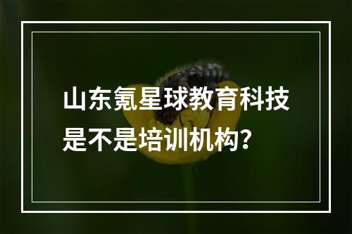 山东氪星球教育科技是不是培训机构？