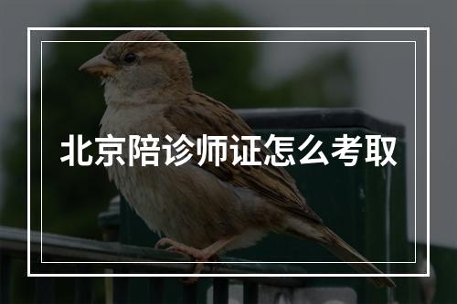 北京陪诊师证怎么考取