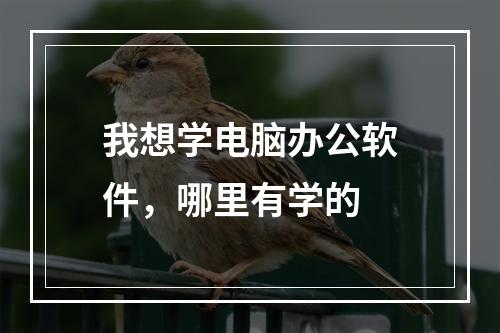 我想学电脑办公软件，哪里有学的