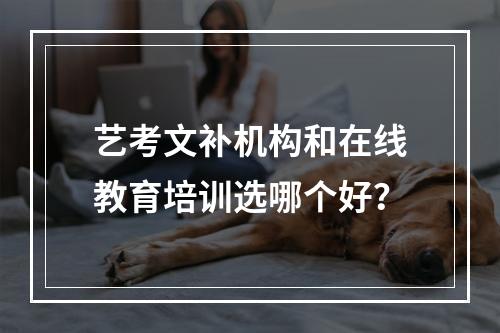 艺考文补机构和在线教育培训选哪个好？