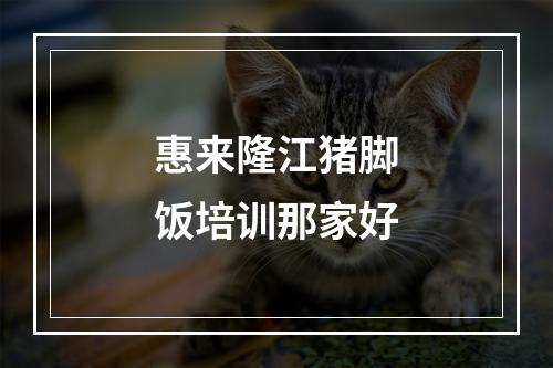 惠来隆江猪脚饭培训那家好