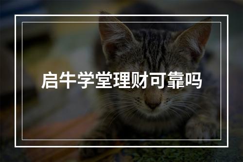 启牛学堂理财可靠吗