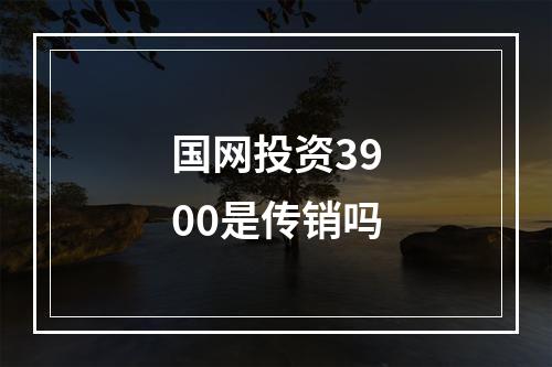 国网投资3900是传销吗