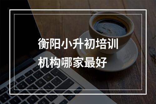 衡阳小升初培训机构哪家最好