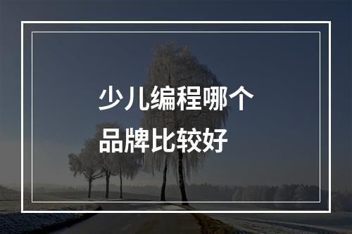 少儿编程哪个品牌比较好