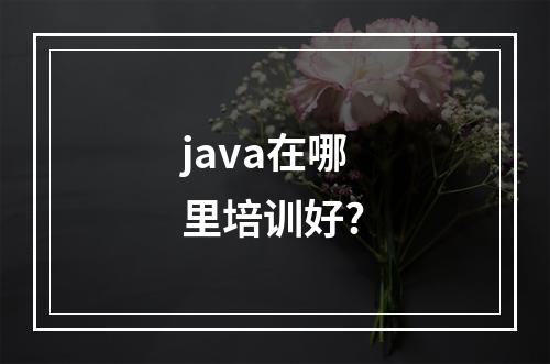 java在哪里培训好?