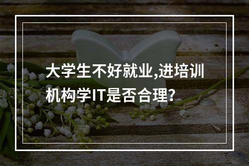 大学生不好就业,进培训机构学IT是否合理？