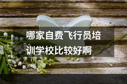 哪家自费飞行员培训学校比较好啊