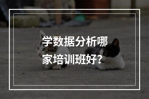 学数据分析哪家培训班好？