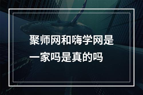 聚师网和嗨学网是一家吗是真的吗