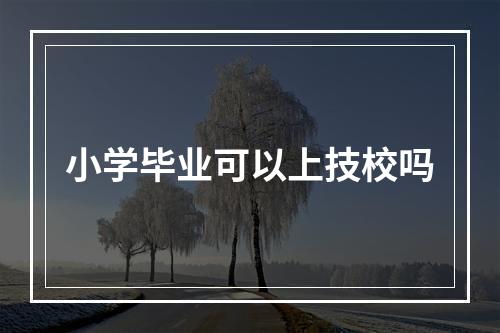 小学毕业可以上技校吗