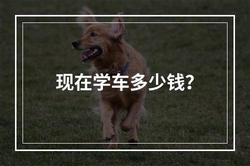 现在学车多少钱？