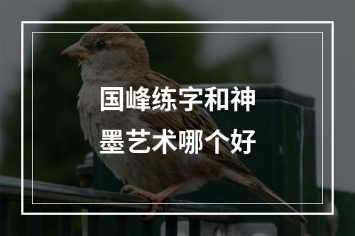 国峰练字和神墨艺术哪个好