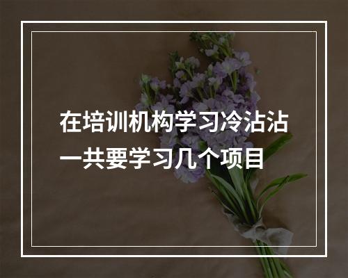 在培训机构学习冷沾沾一共要学习几个项目