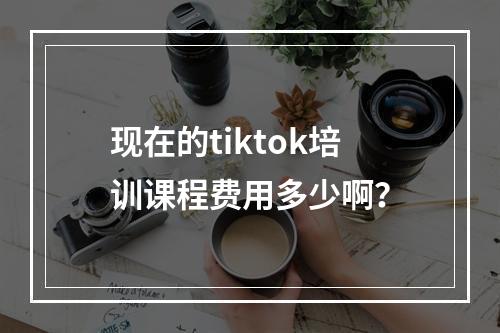 现在的tiktok培训课程费用多少啊？