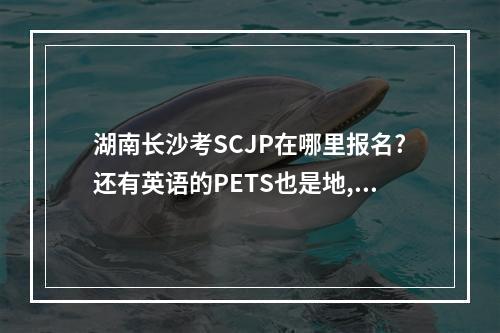 湖南长沙考SCJP在哪里报名?还有英语的PETS也是地,分别都是什么时候报名呢?